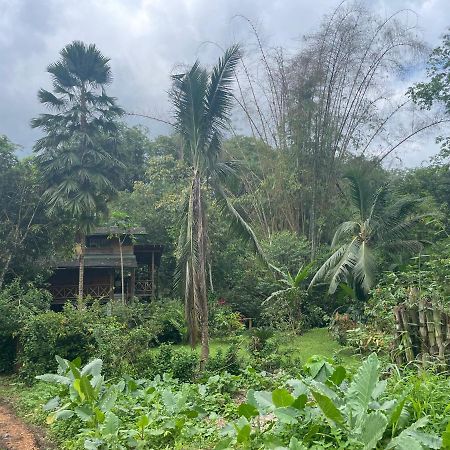 Caoni Riverside Lodge Puerto Quito Luaran gambar