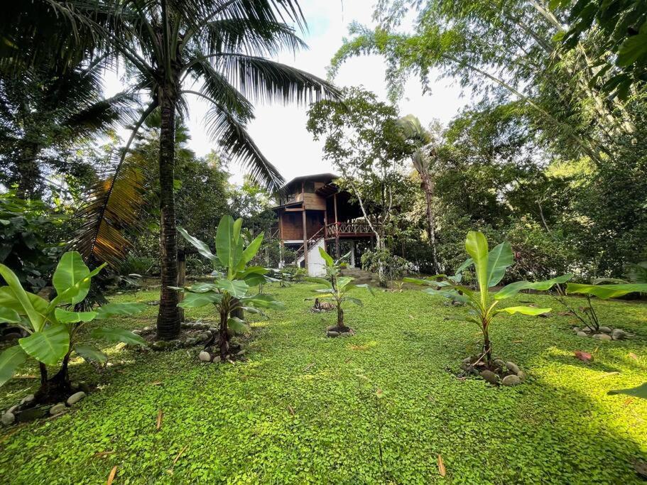 Caoni Riverside Lodge Puerto Quito Luaran gambar